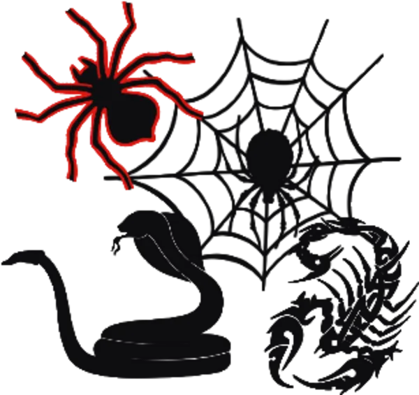 Kategoribild för Spindlar & Ormar